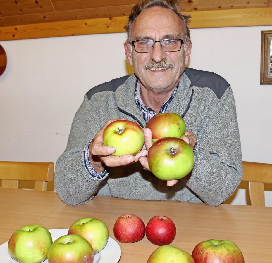 Ganz im Zeichen des Apfels - der Lohrberg.